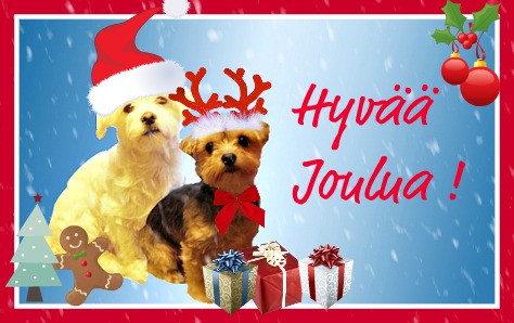 hyvaa joulua