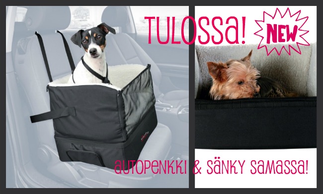 Autoilu