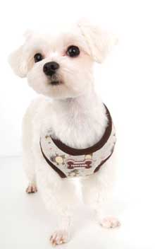 Valjaat