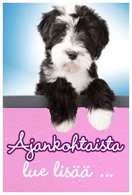 http://www.diivadog.fi/media/custom/advancedslider/resized/slide-1325604436-jpeg/198X286.jpeg