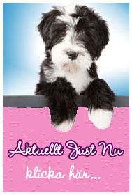 http://www.diivadog.fi/media/custom/advancedslider/resized/slide-1325605919-jpeg/198X286.jpeg