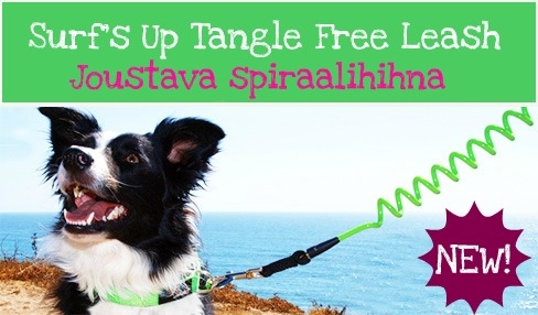 http://www.diivadog.fi/media/custom/advancedslider/resized/slide-1326817616-jpg/488X286.jpg
