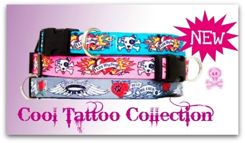http://www.diivadog.fi/media/custom/advancedslider/resized/slide-1328045666-jpg/488X286.jpg