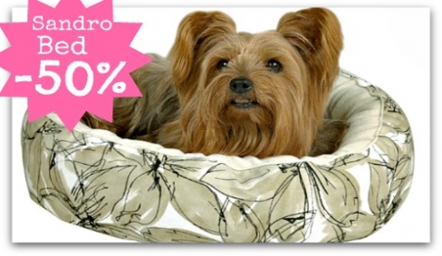 http://www.diivadog.fi/media/custom/advancedslider/resized/slide-1336466651-jpg/488X286.jpg