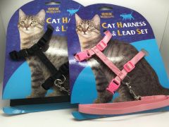 Kissan valjaat talutushihnalla