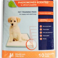Pissa-Alunen Feromon M 60cmx40cm