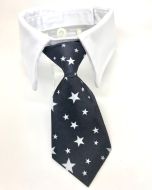 Koiran ja Kissan Solmio Kauluksella | Black Star