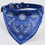 Koiran Bandana - Kaulapanta Blue