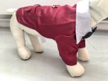 Party Devil Jacket Dark Red | Koot: S-L 