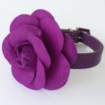 Kaulapanta Koiralle tai Kissalle | Purple Rose | Ruusukoristeinen Purple Panta