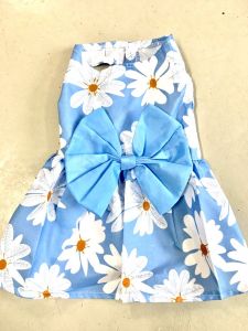Juhlamekko Daisy Blue | Koot: S-M