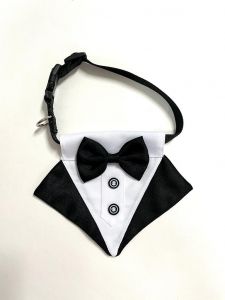 Gentleman-Kaulapanta Party Style | Myös Isoille Koirille | Koot: S-L