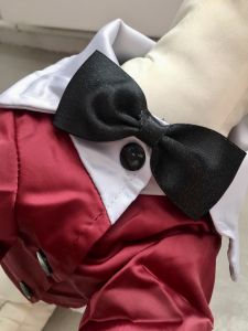 Party Devil Jacket Dark Red | Koot: S-L 