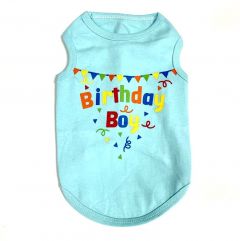 Hihaton paita Birthday Boy | Turquoise | Koot: XS-XL