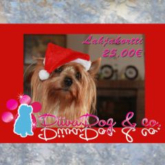 Joululahjakortti 25€
