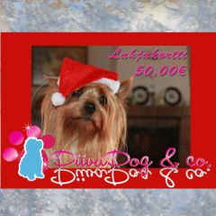 Joululahjakortti 50€
