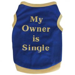 My Owner is Single | Koiran Paita 