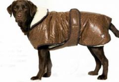 Koiran takki Waggles Pilot Jacket | Lämmin talvitakki pienille ja isoille koirille | DiivaDog.fi