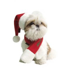 Koiran Tonttulakki | Upea Joulunpunainen Tonttulakki Koiralle | Pehmeää polarfleecea | Säädettävä nauhakiinnitys